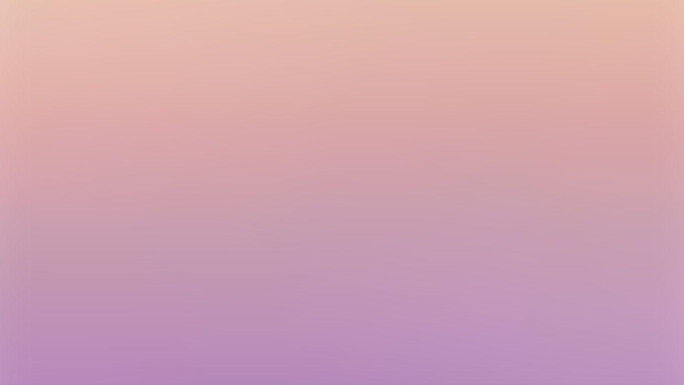 1370x770 Pastel Rose Desktop Wallpaper, Desktop