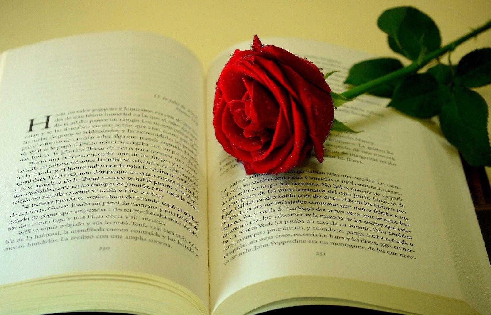 1600x1030 Love Books wallpaper. Books. Love, Book wallpaper, Desktop