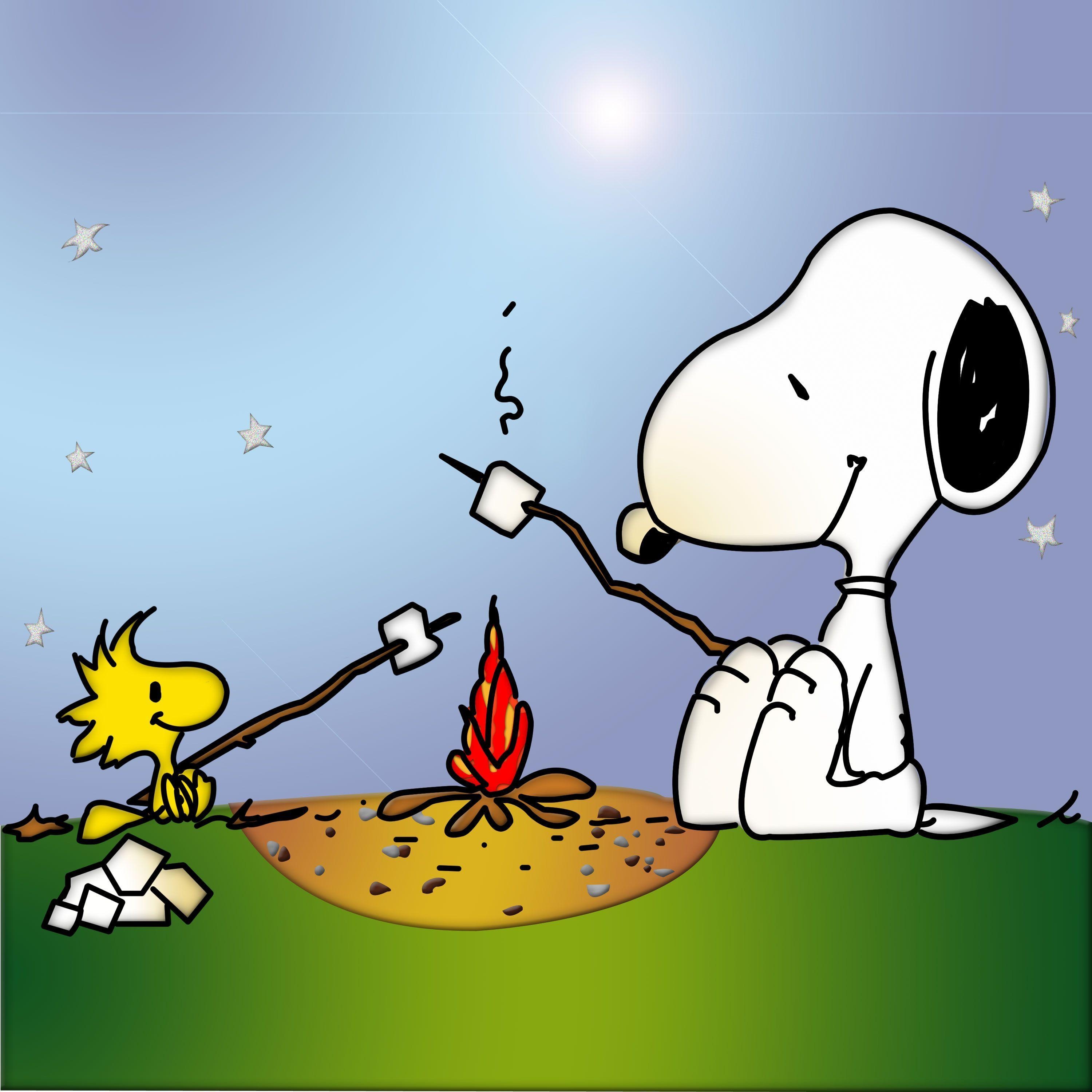 3000x3000 Snoopy and Woodstock. Snoopy Woodstock by the Campfile. Peanuts, Phone