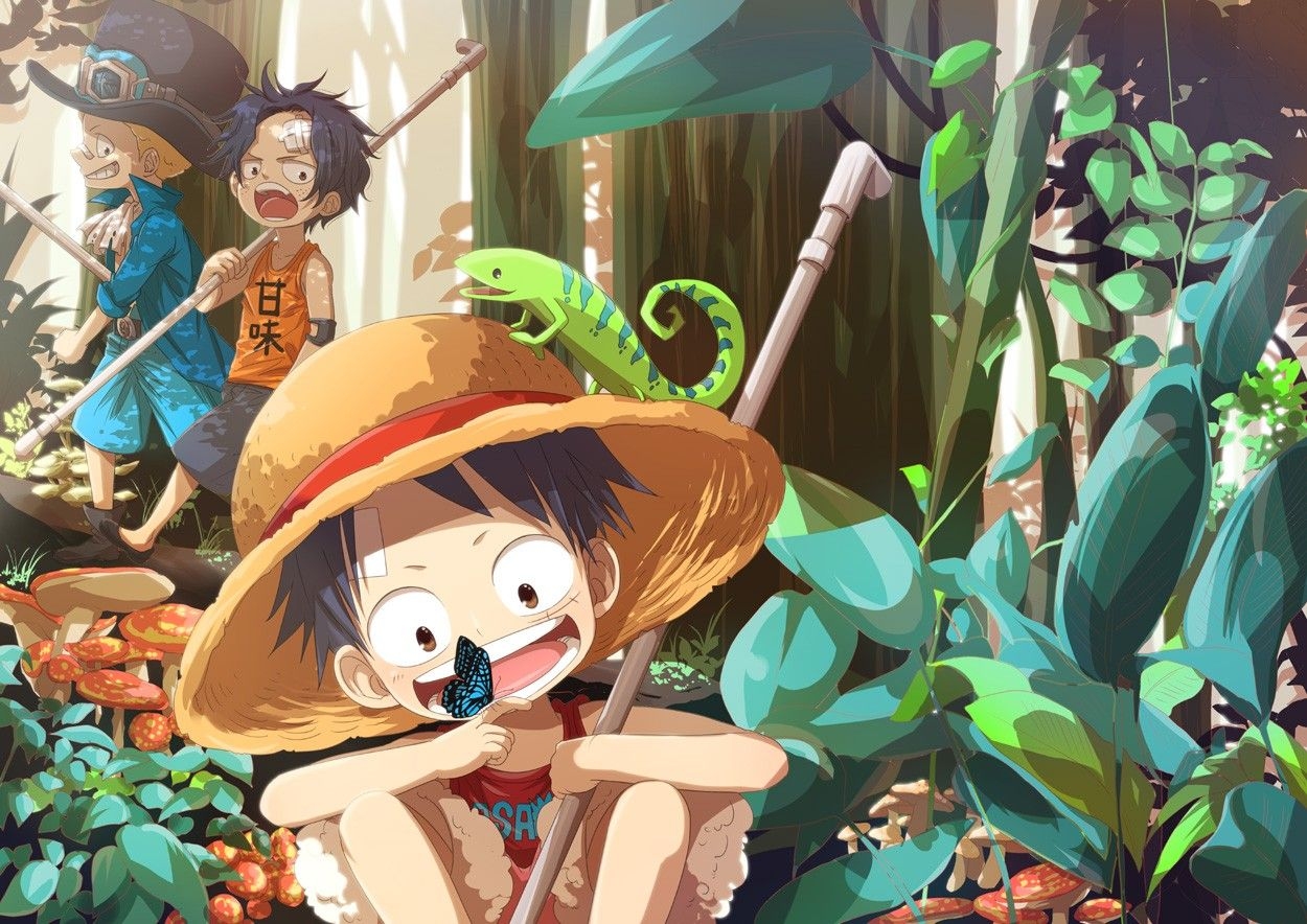 1250x890 One Piece Wallpaper, Desktop