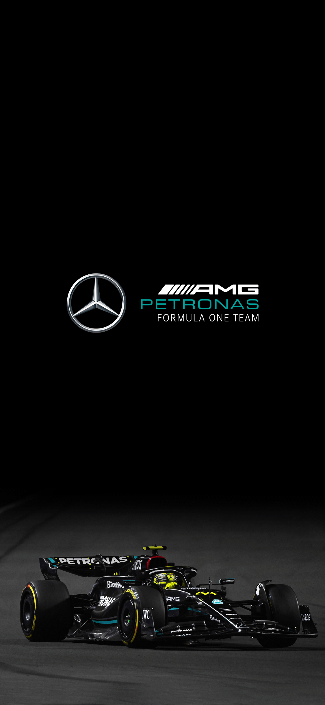 1130x2440 Lewis Hamilton, Phone