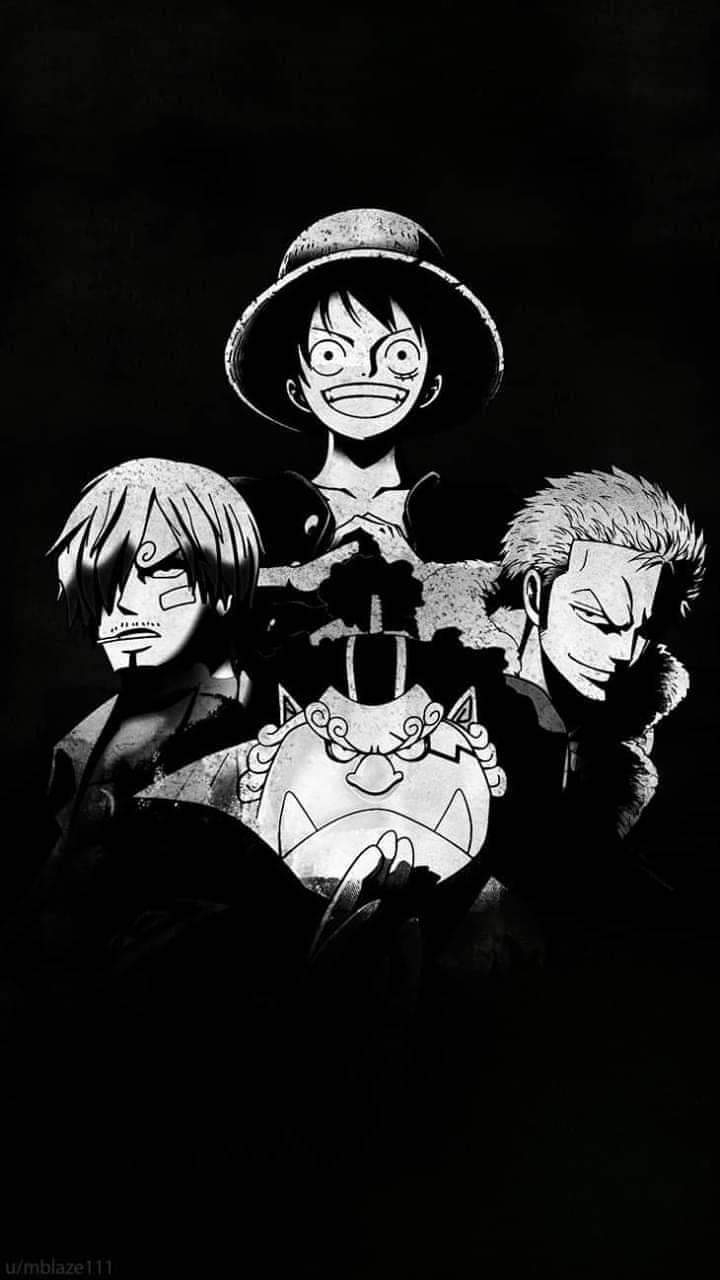 720x1280 Future Pirate King and the monster trio, Phone