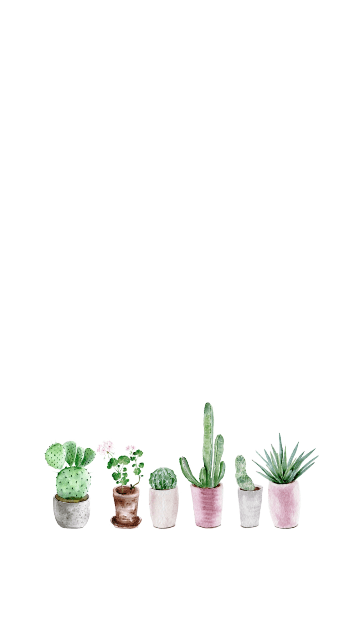 1250x2210 Aesthetic Cactus Wallpaperwallpaper.dog, Phone