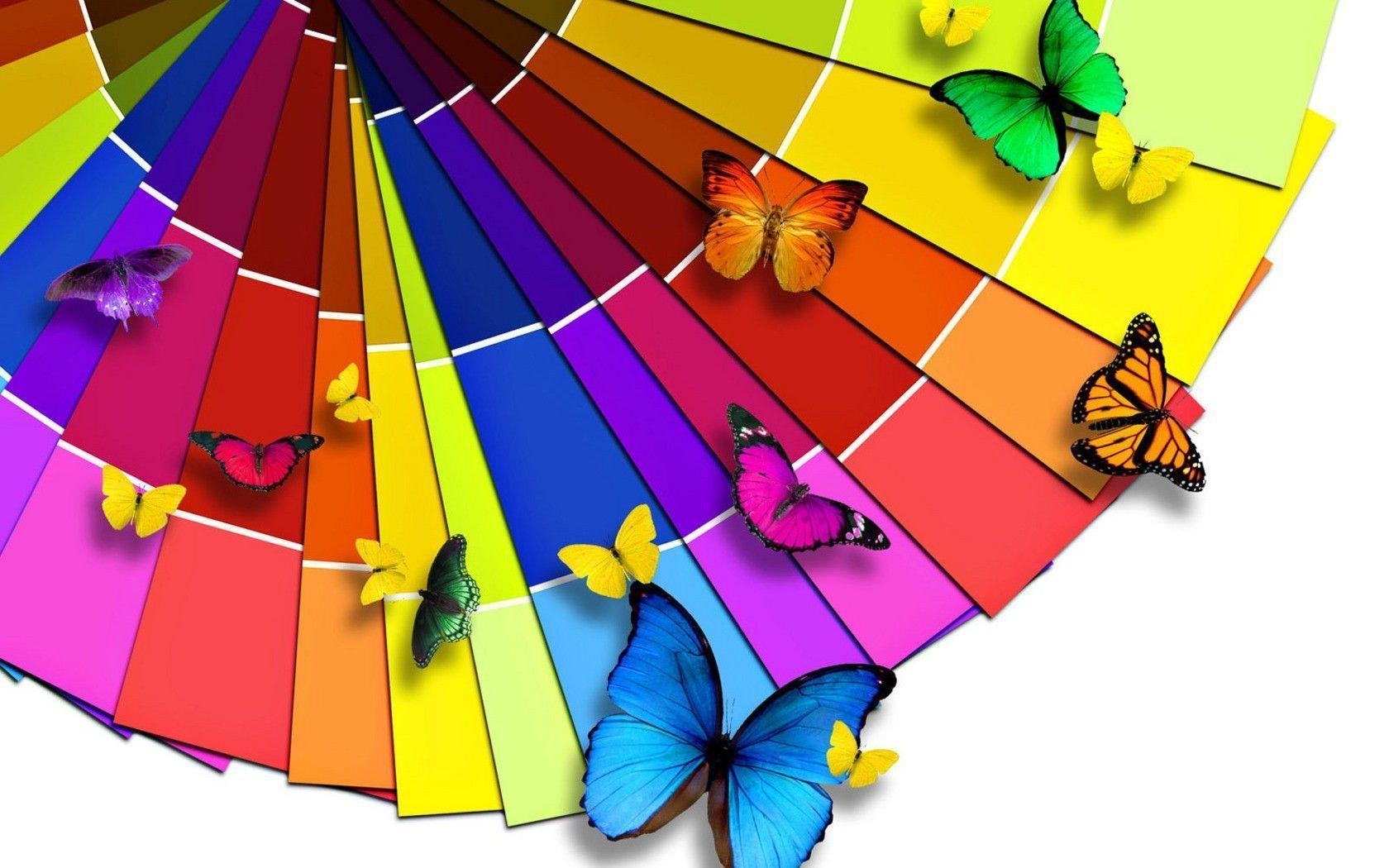 1680x1050 Download Multicolor Butterfly Wallpaper, Desktop