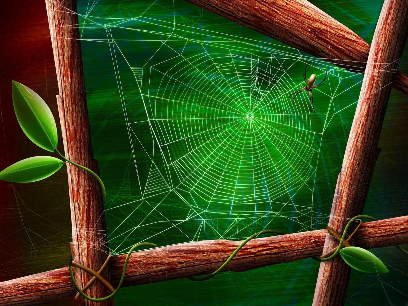 1600x1200 Desktop Wallpaper · Gallery · 3D Art · Spider Web. Free, Desktop