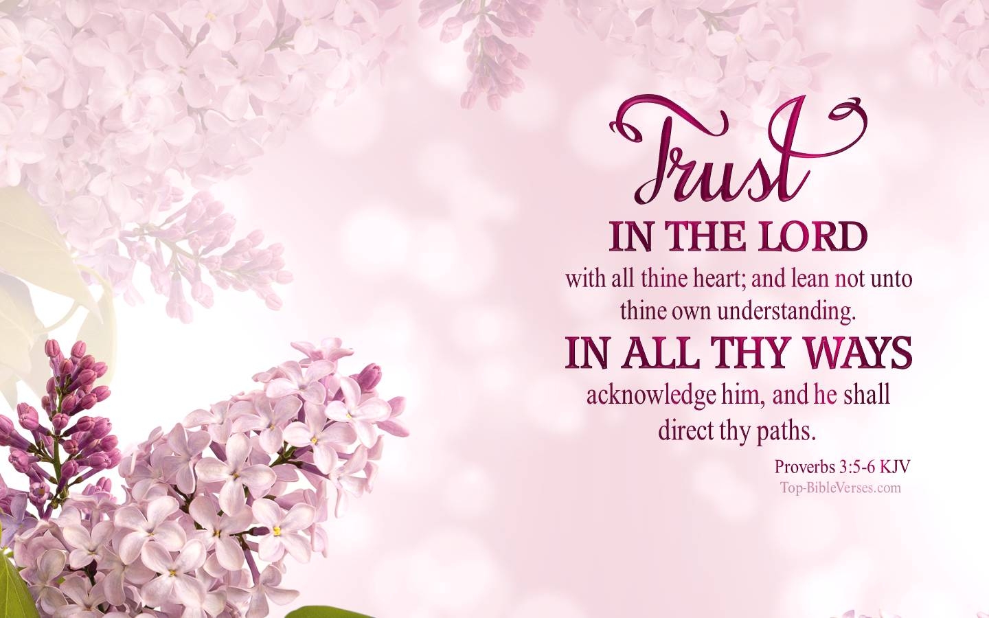 1440x900 Proverbs 3:5 6 KJV Desktop Wallpaper. Bible Verse Wallpaper, Desktop