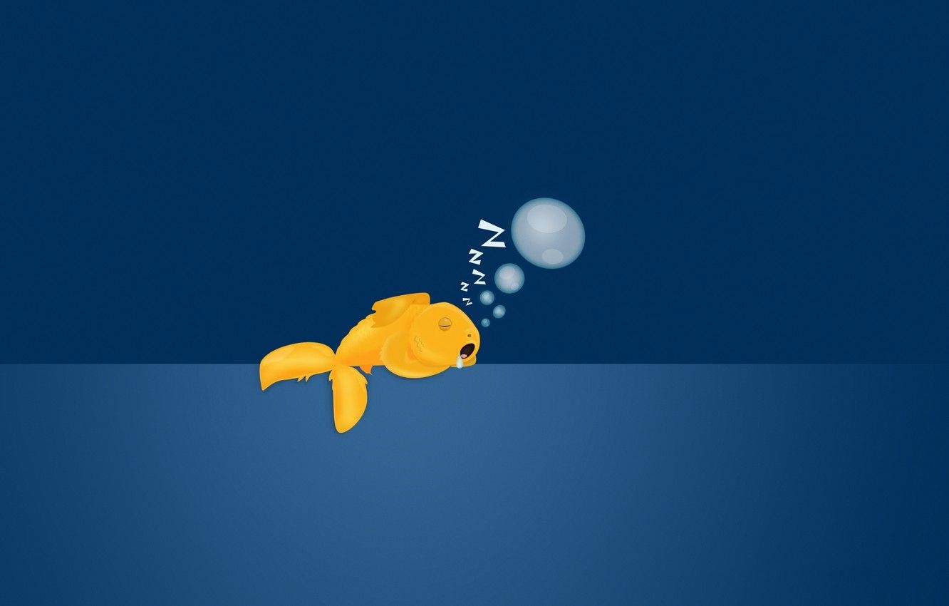 1340x850 Free download Wallpaper bubbles background sleeping goldfish image for [] for your Desktop, Mobile & Tablet. Explore Sleeping Wallpaper. Sleeping Wallpaper, Sleeping Beauty Wallpaper, Sleeping Beauty Wallpaper, Desktop