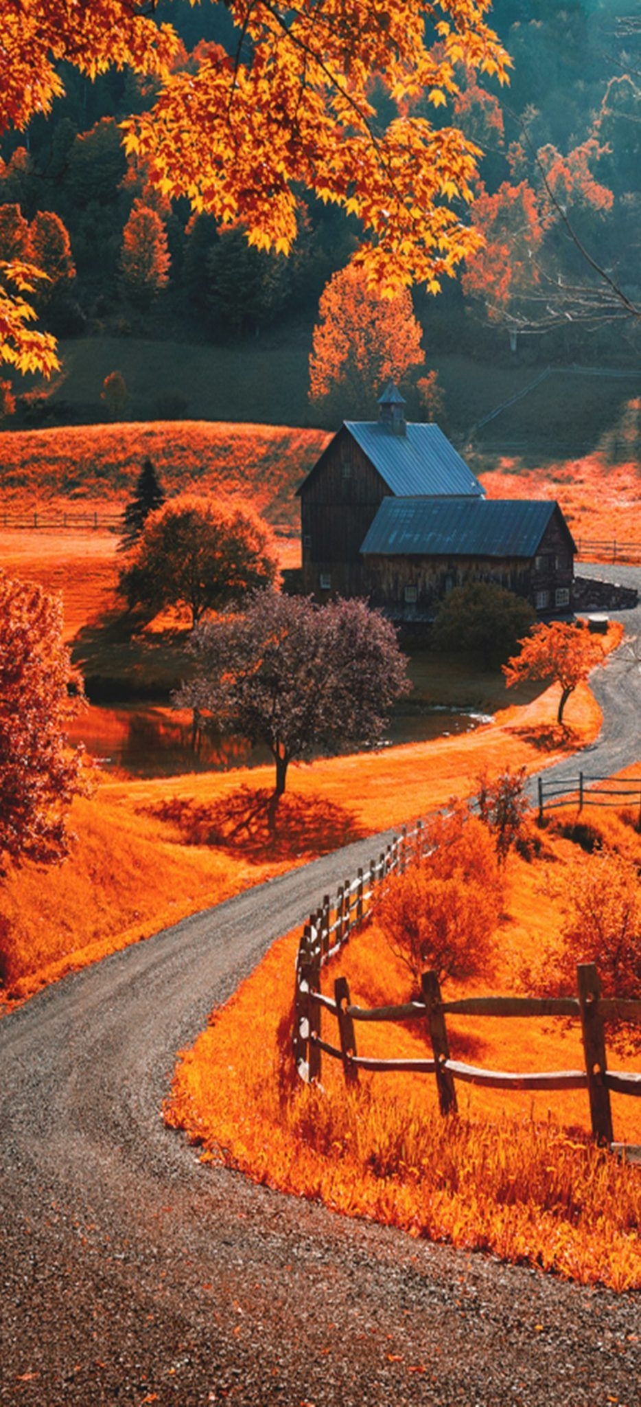 940x2050 Autumn iPhone Wallpaper Free Autumn iPhone Background, Phone