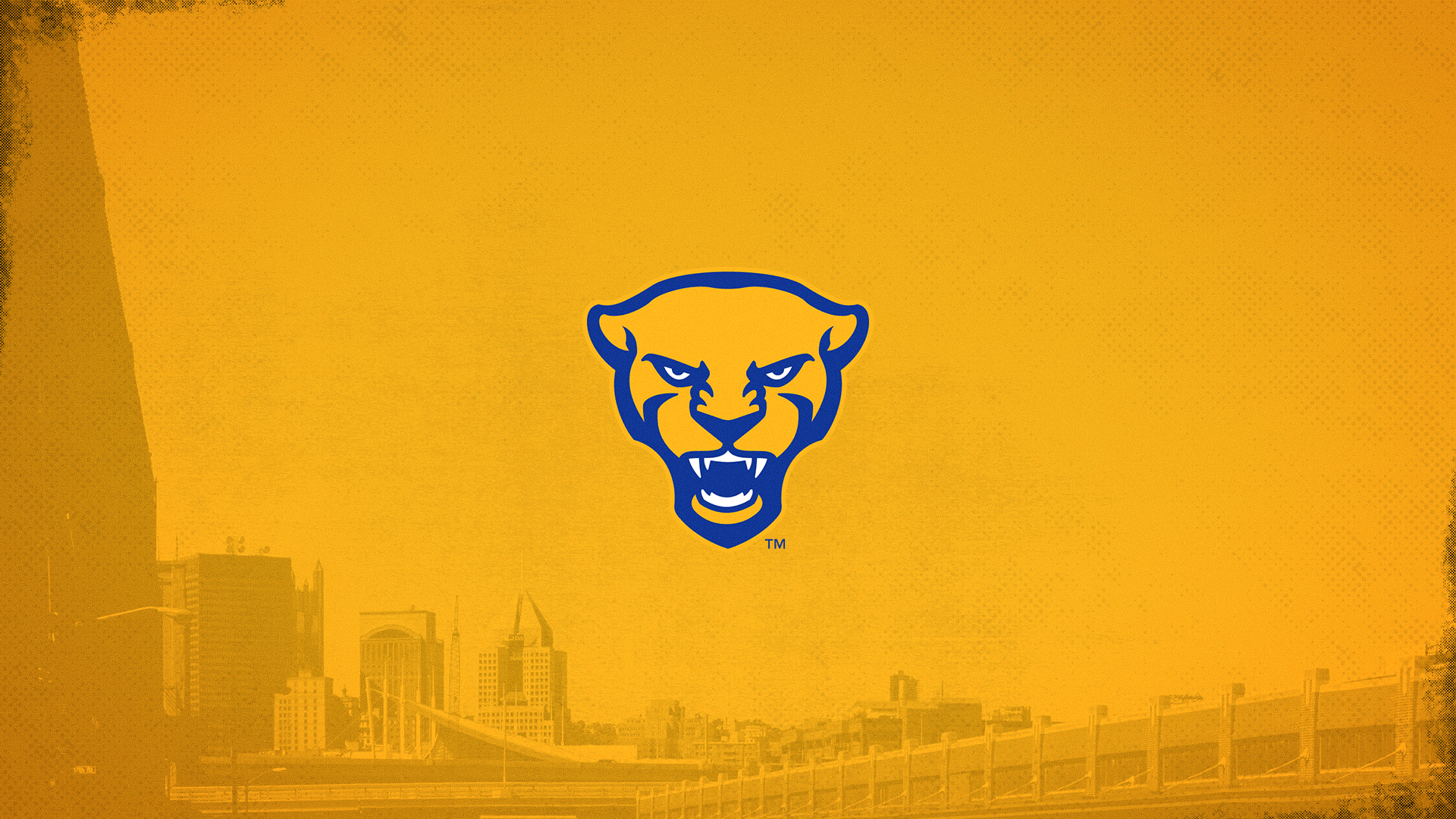 1920x1080 Wallpaper: Mobile and Desktop Panthers #H2P, Desktop