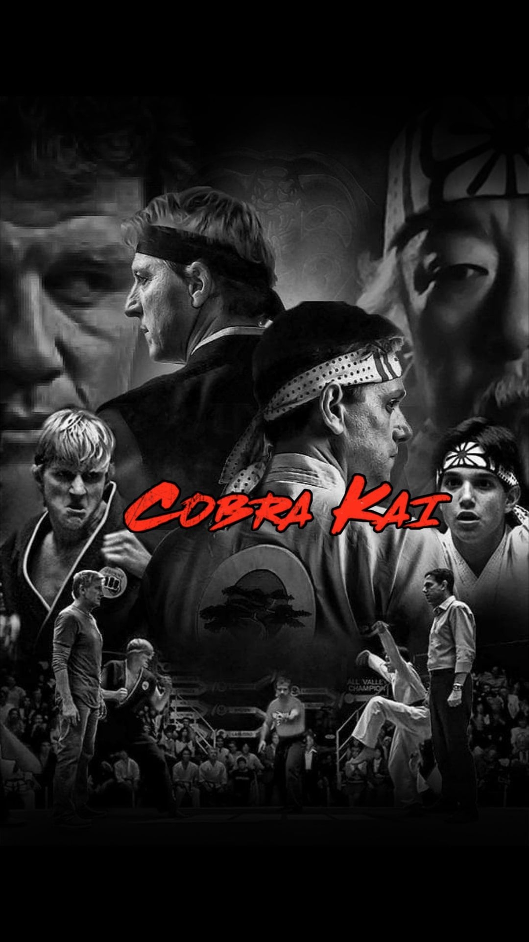 1080x1920 Cobra Kai Background iPhone Free HD Wallpaper, Phone