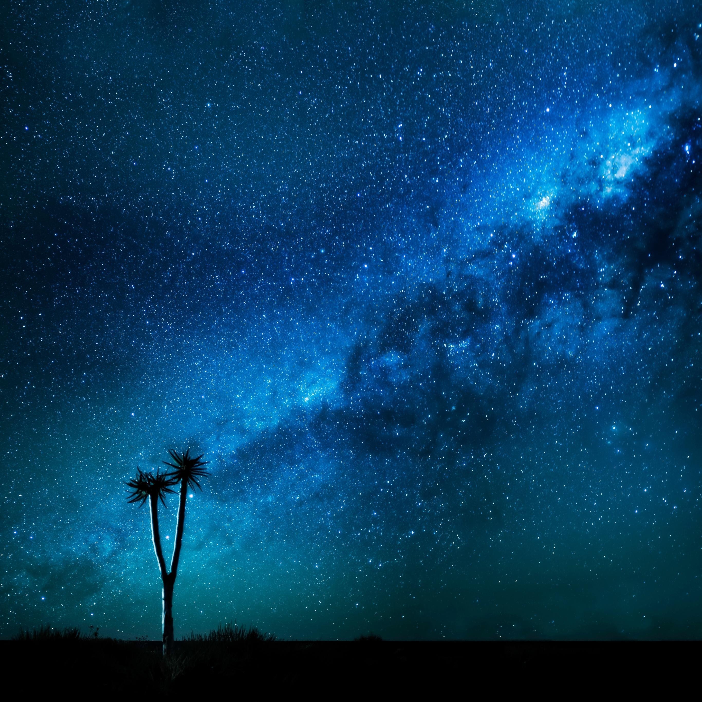 2740x2740 Amoled Live wallpaper, Background 4k: Darknex for Android, Phone