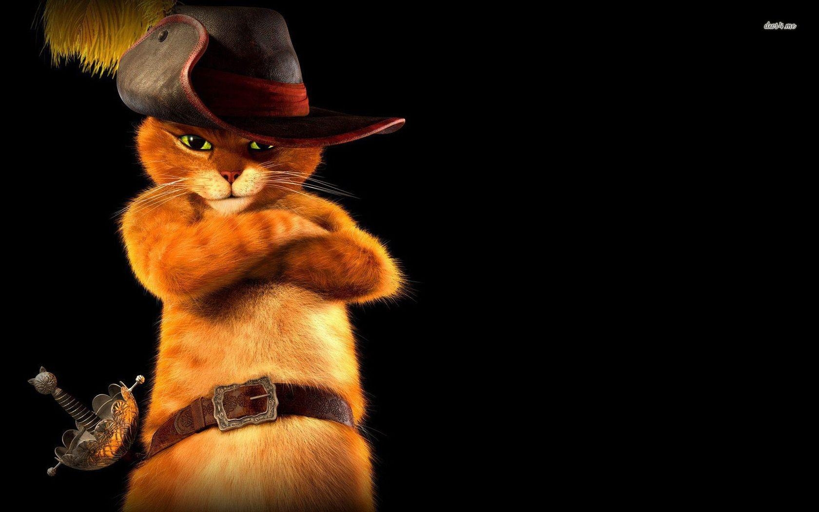 1680x1050 Puss In Boots Wallpaper HD Background, Desktop