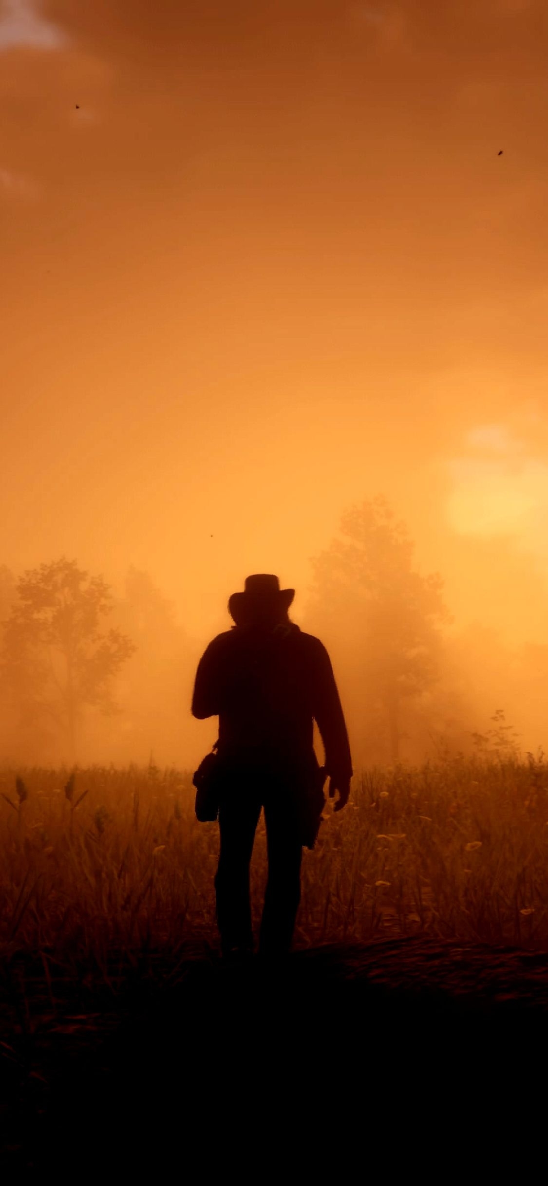 1130x2440 Game Red Dead Redemption 2 iPhone XS, iPhone iPhone X, Phone