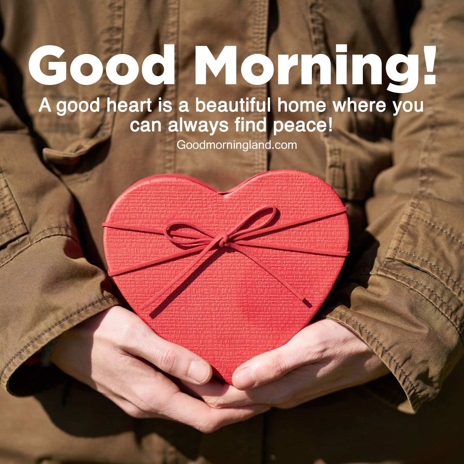 1500x1500 Lovely Good Morning Hearts Image 2021 Morning Image, Quotes, Wishes, Messages, greetings & eCards, Phone