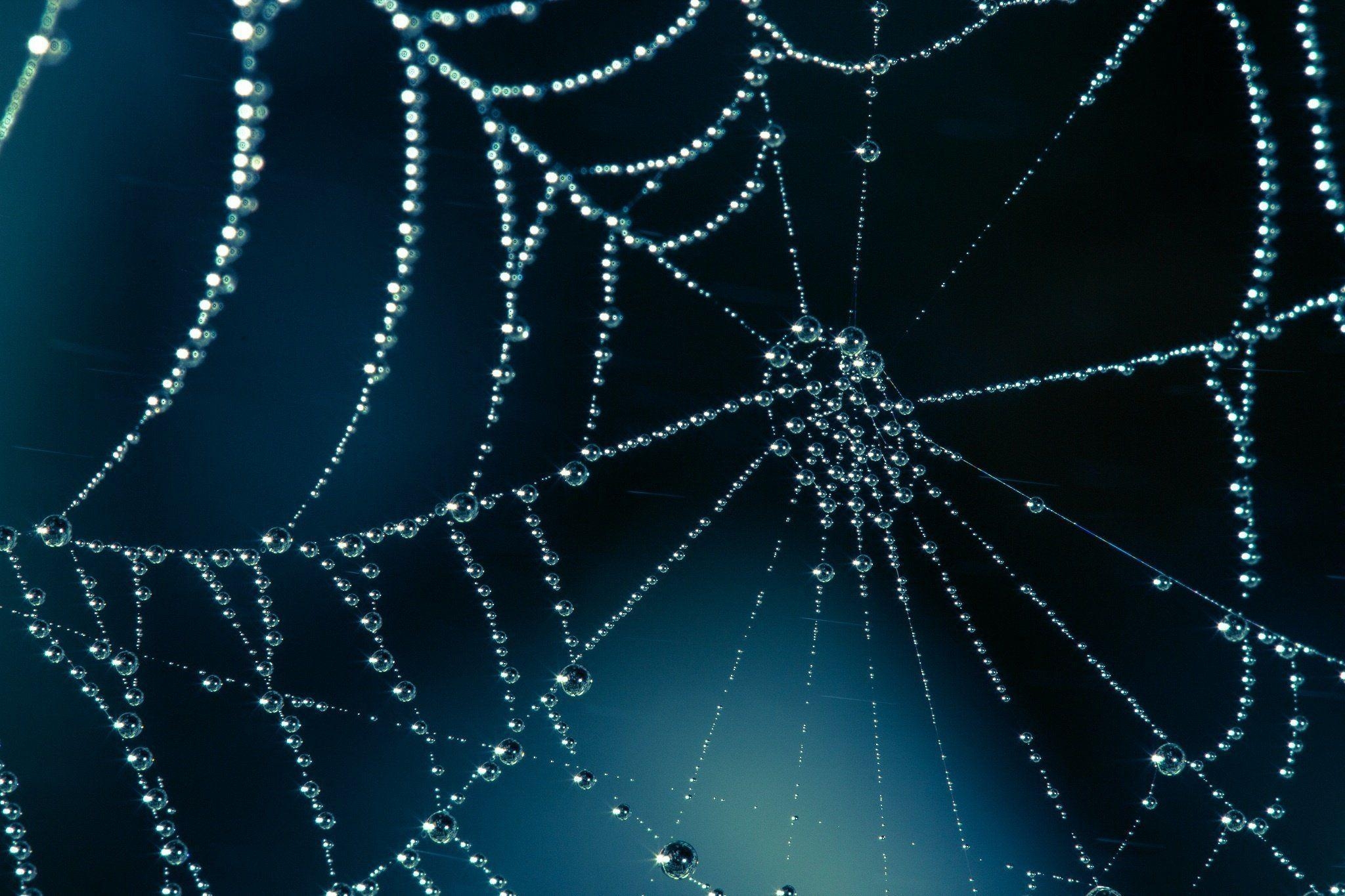 2050x1370 Spider Background. Spider Web Wallpaper, Halloween Spider Wallpaper And Spider Man Laptop Wallpaper, Desktop