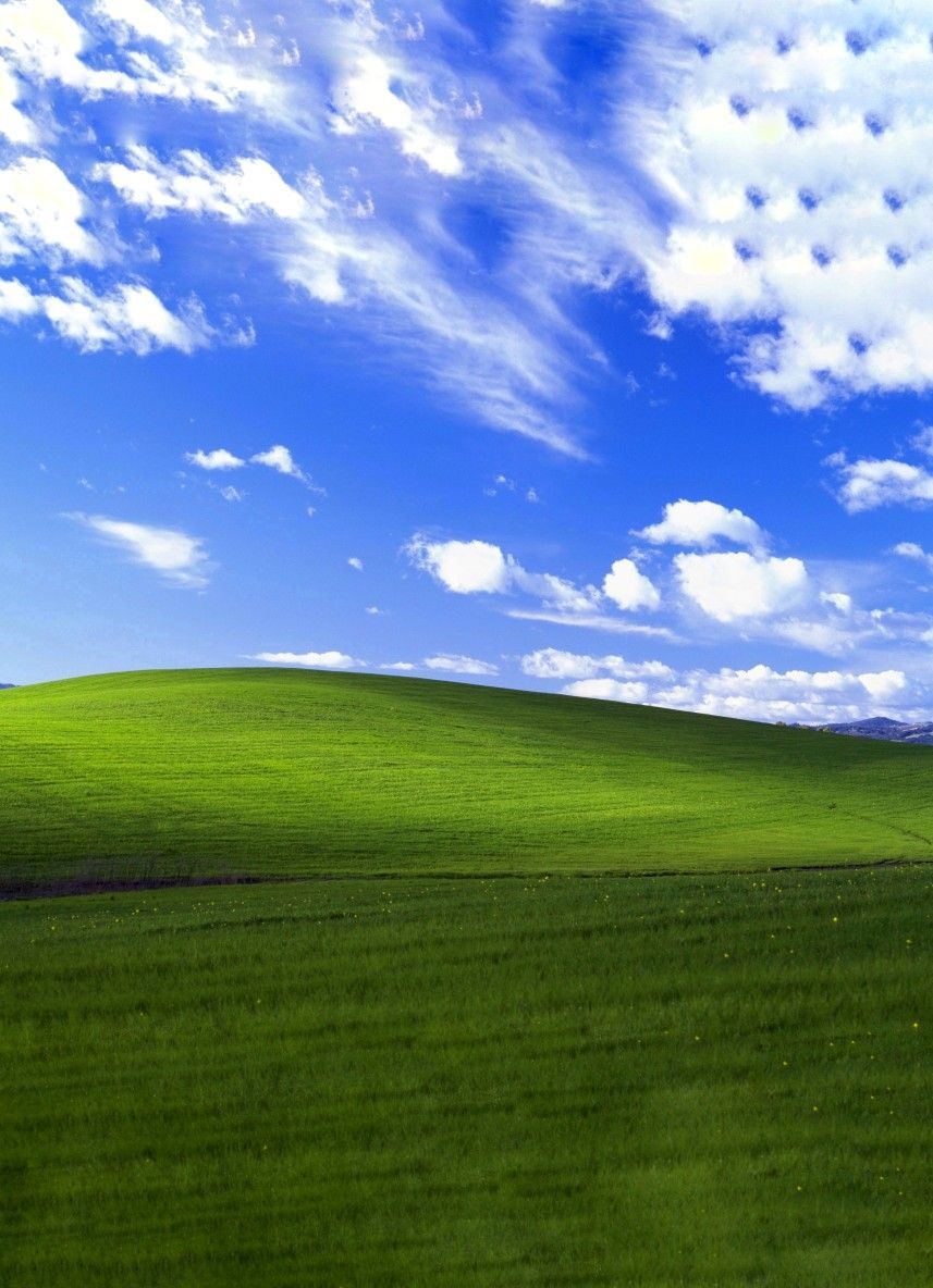 860x1190 Oldschool Windows XP wallpaper optimized for mobile Screen, beyond 4K. Windows xp wallpaper, Green background video, Cool desktop wallpaper, Phone