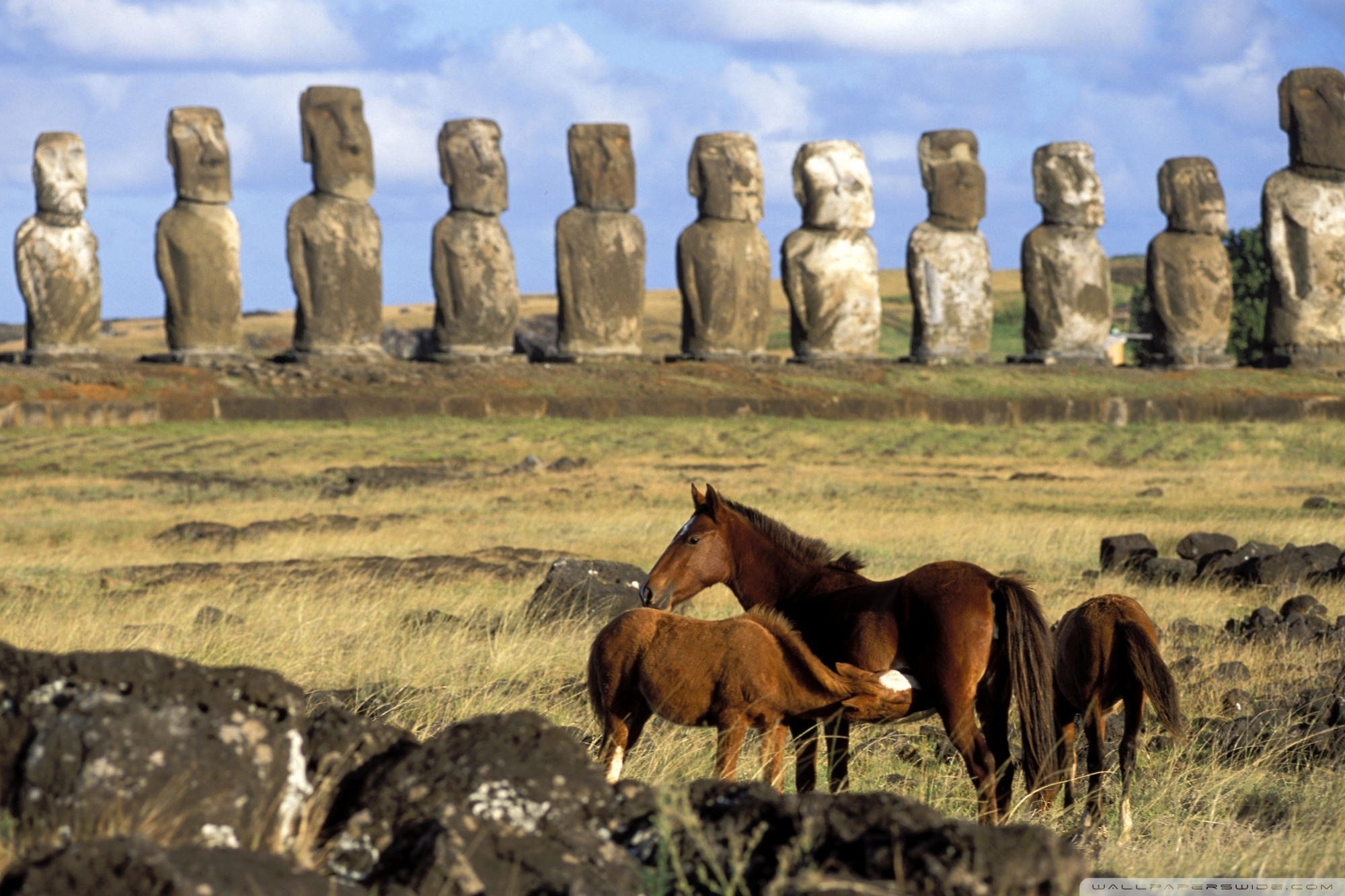 2000x1340 Download Great Horses Of Easter Island Chile Wallpaper, Desktop