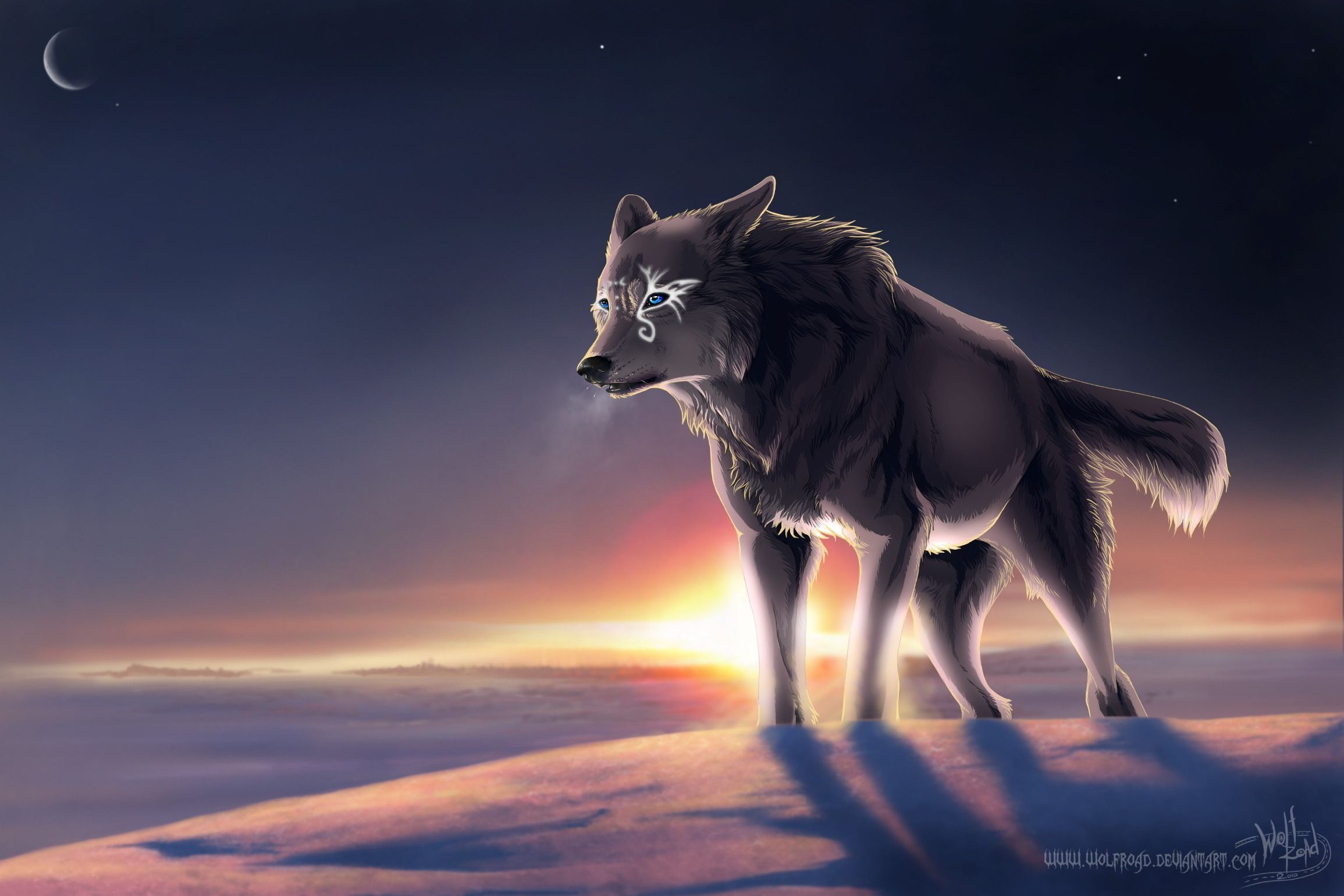 2310x1540 Wolf Pack, Desktop