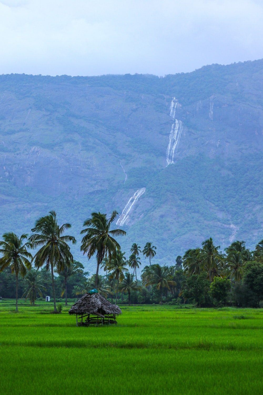 1000x1500 Kerala Picture [Scenic Travel Photo]. Download Free Image, Phone