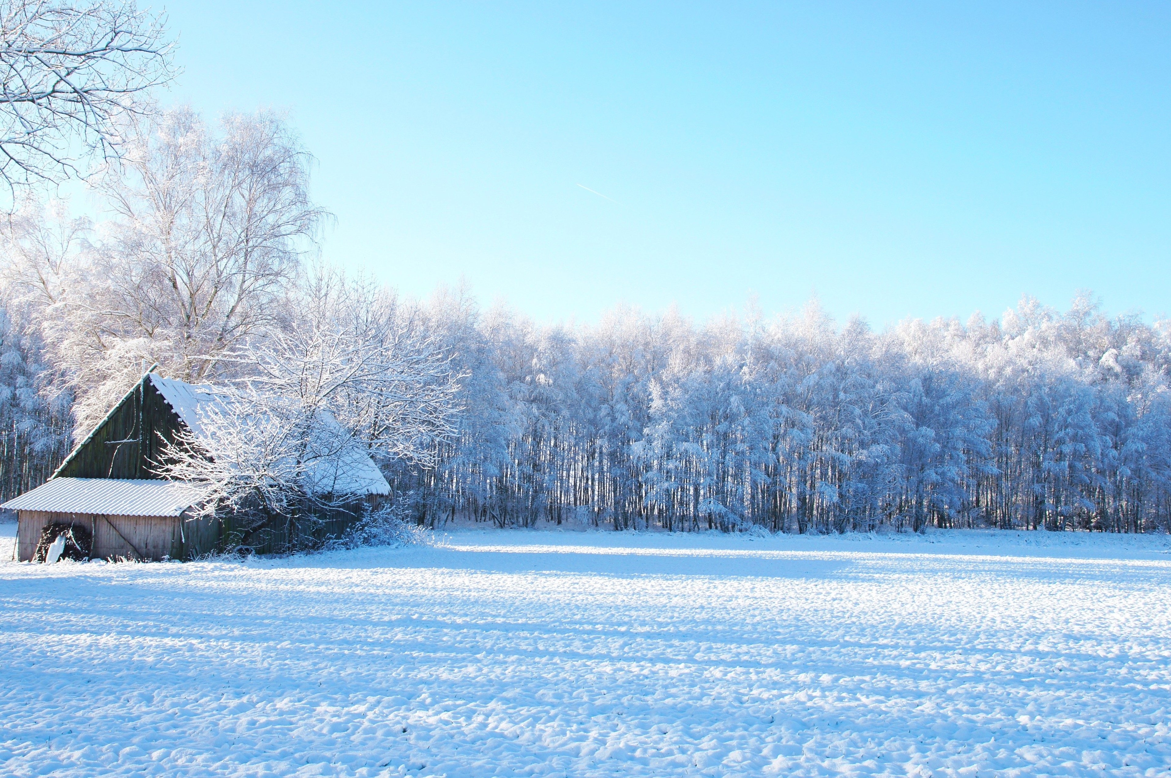 3830x2550 Free picture: winter, landscape, trees, snow, field, barn house, Desktop