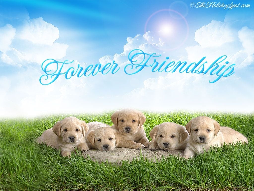 1030x770 Friendship Image For Whatsapp Dp Free Download HD Wallpaper, Desktop