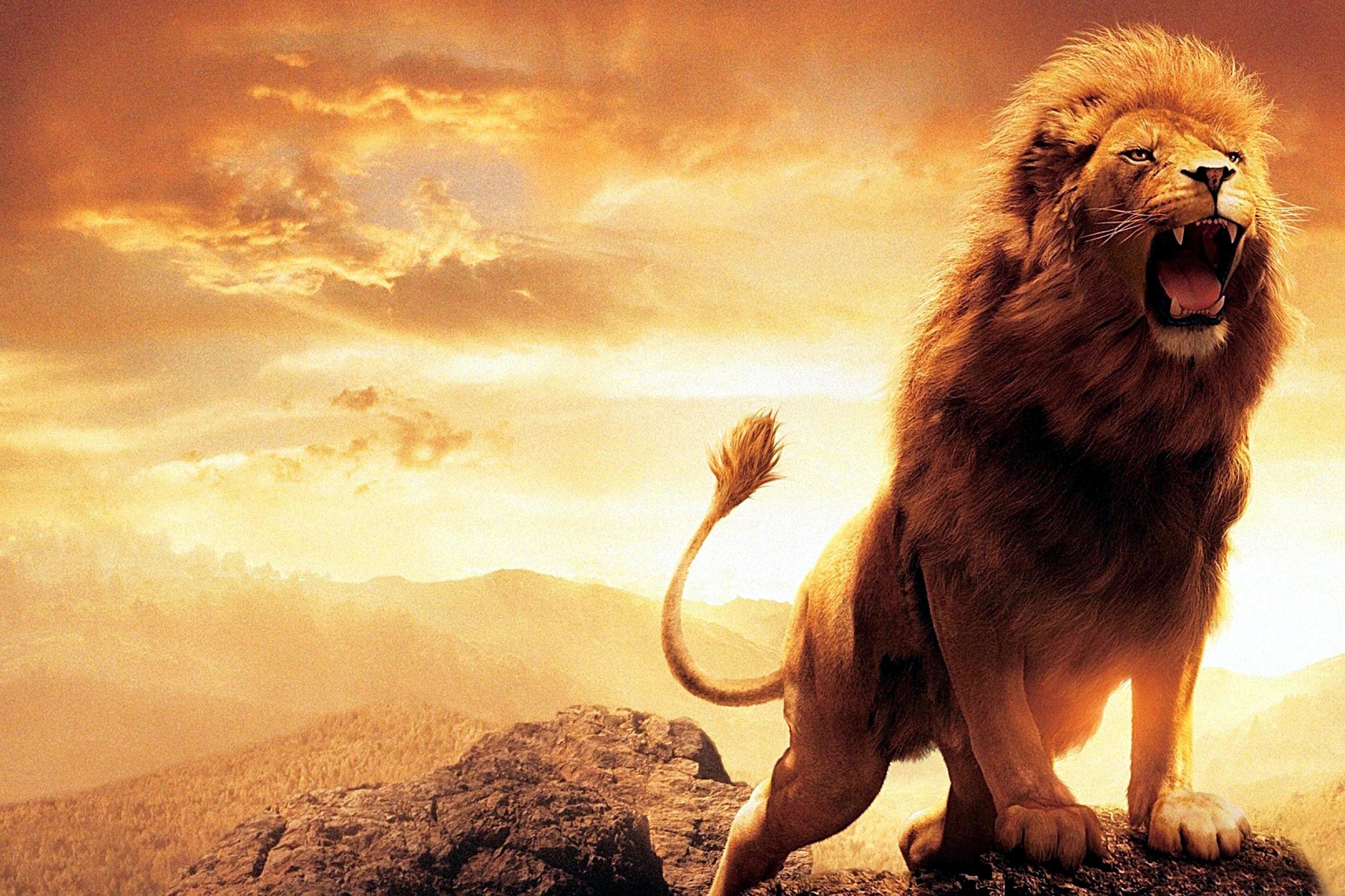 2740x1830 Roaring Lion Wallpaper Free Roaring Lion Background, Desktop