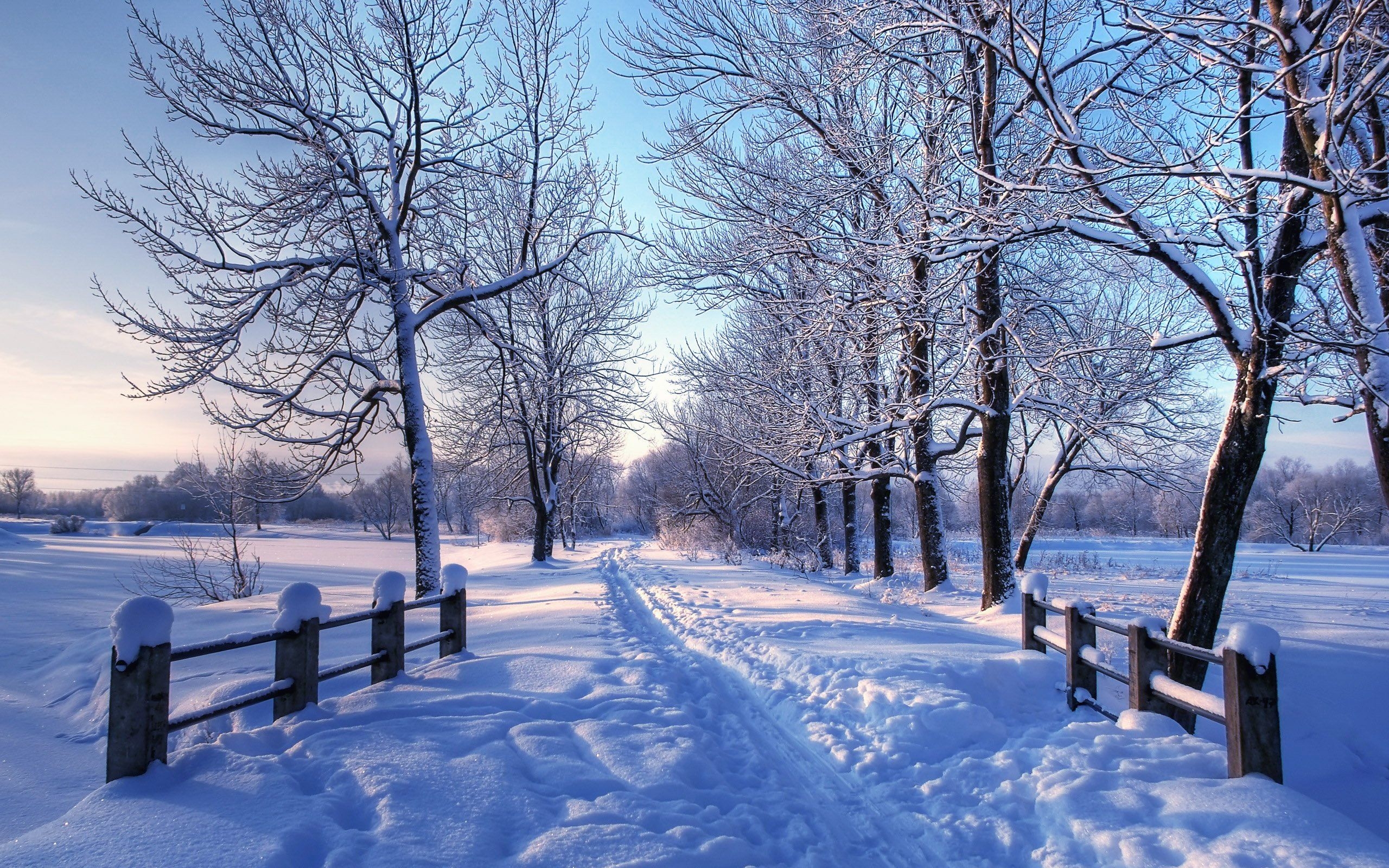 2560x1600 Winter Wallpaper For Mac, Desktop