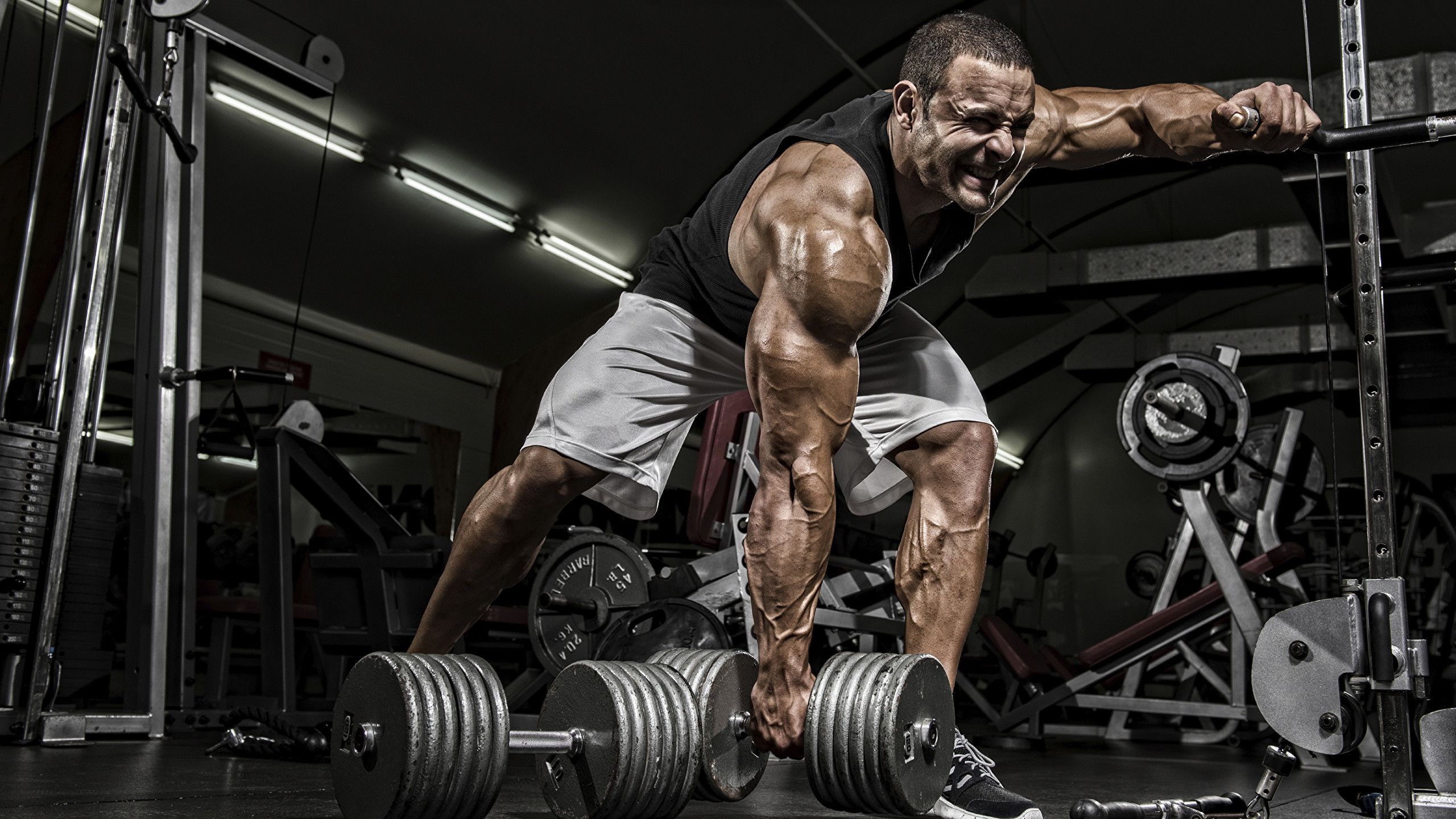 2560x1440 Wallpaper Man Gym Muscle Workout Sport.wallpapertip.com, Desktop