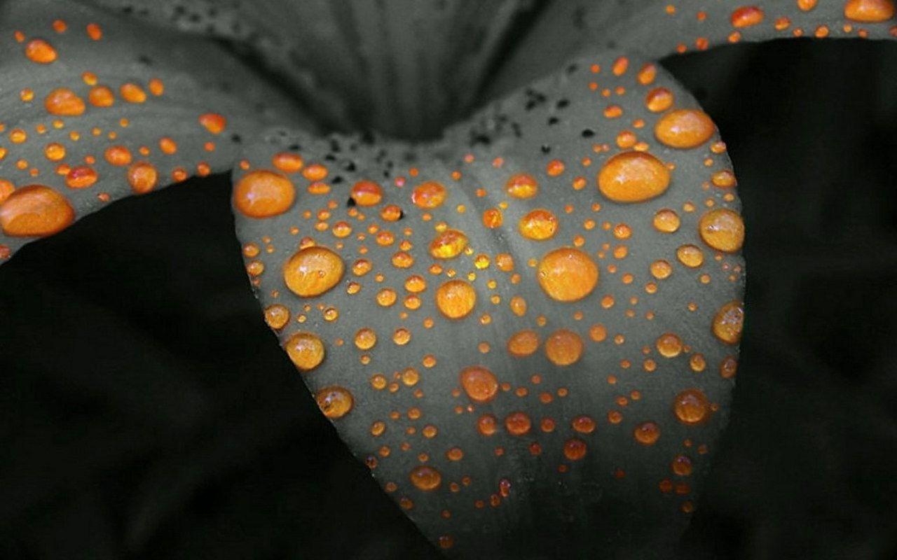 1280x800 Rain Drops. Free Download Clip Art. Free Clip Art. on Clipart, Desktop