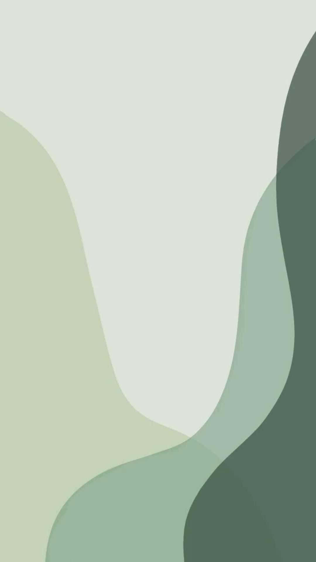 1080x1920 Cute Sage Green Wallpaper, Phone