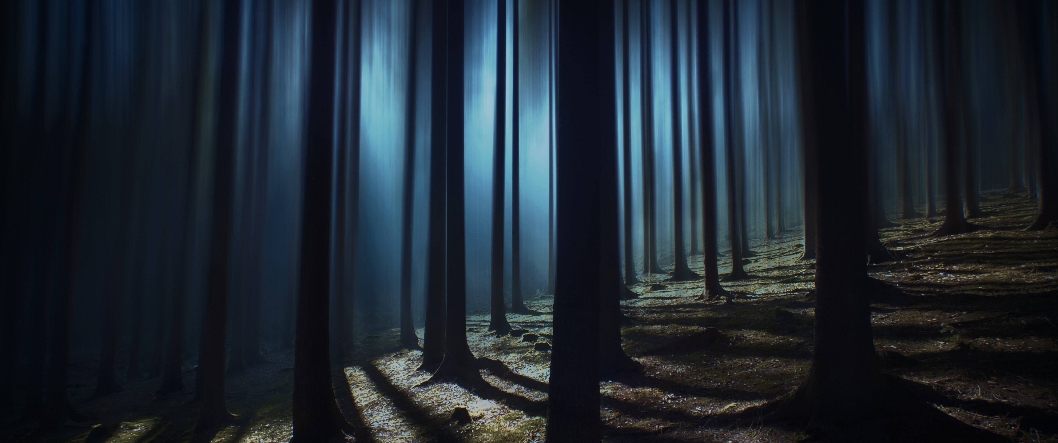 3440x1440 Dark Forest Wallpaper 4K, Woods, Night time, Dark, Shadow, Tall Trees, Nature, Dual Screen