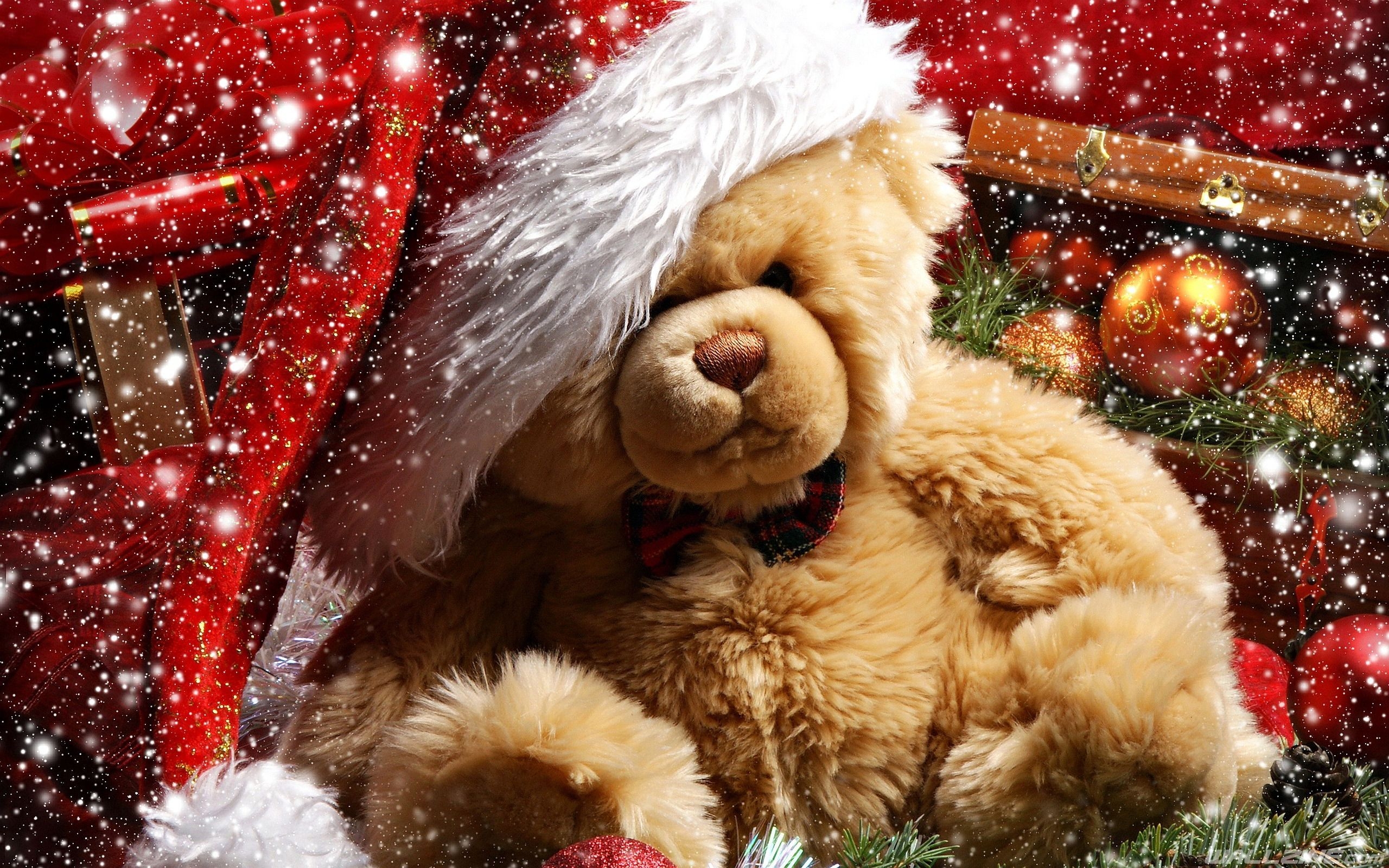 2560x1600 xmas teddy bear HD Desktop Wallpaper. Wallzine.com. Teddy bear day, Christmas teddy bear, Teddy bear wallpaper, Desktop