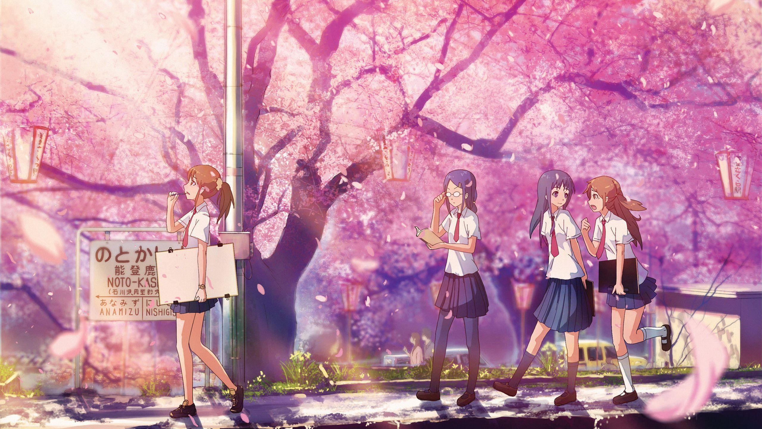 2560x1440 school days HD Wallpaper, Desktop