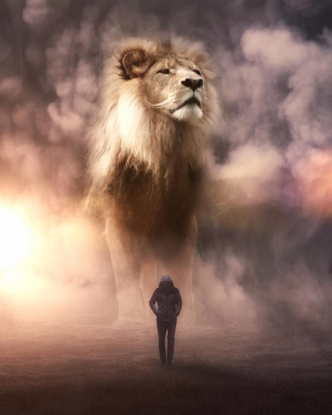 1080x1350 Jesus Lion Wallpaper Free Jesus Lion Background, Phone