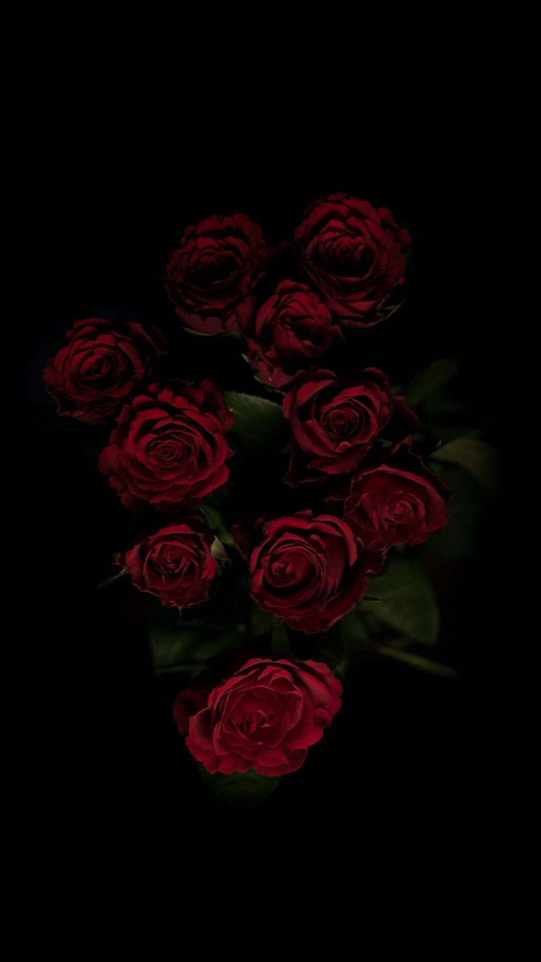 1080x1920 Flowers +. Nature iphone wallpaper, Rose wallpaper, Phone wallpaper, Phone