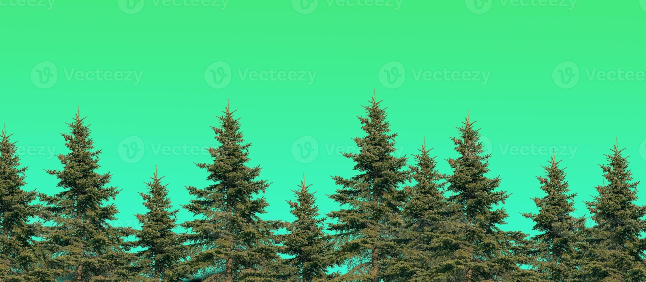 2240x980 Merry Christmas And Happy New Year Wallpaper. High Quality Background With Christmas Trees 2022 2023, Dual Screen