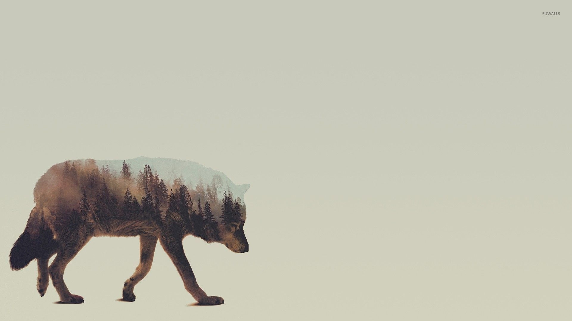 1920x1080 Wolf Wallpaper 1920X1080 background picture, Desktop