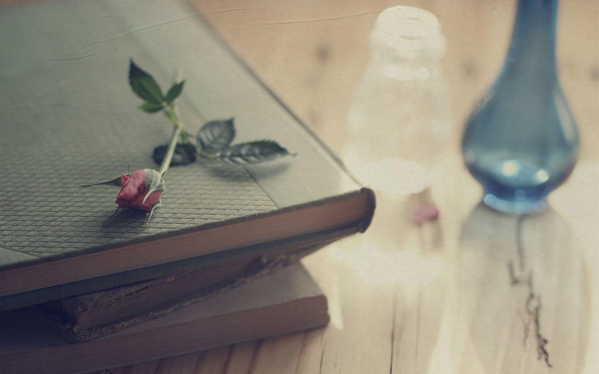 1920x1200 Rose On Old Books, Desktop