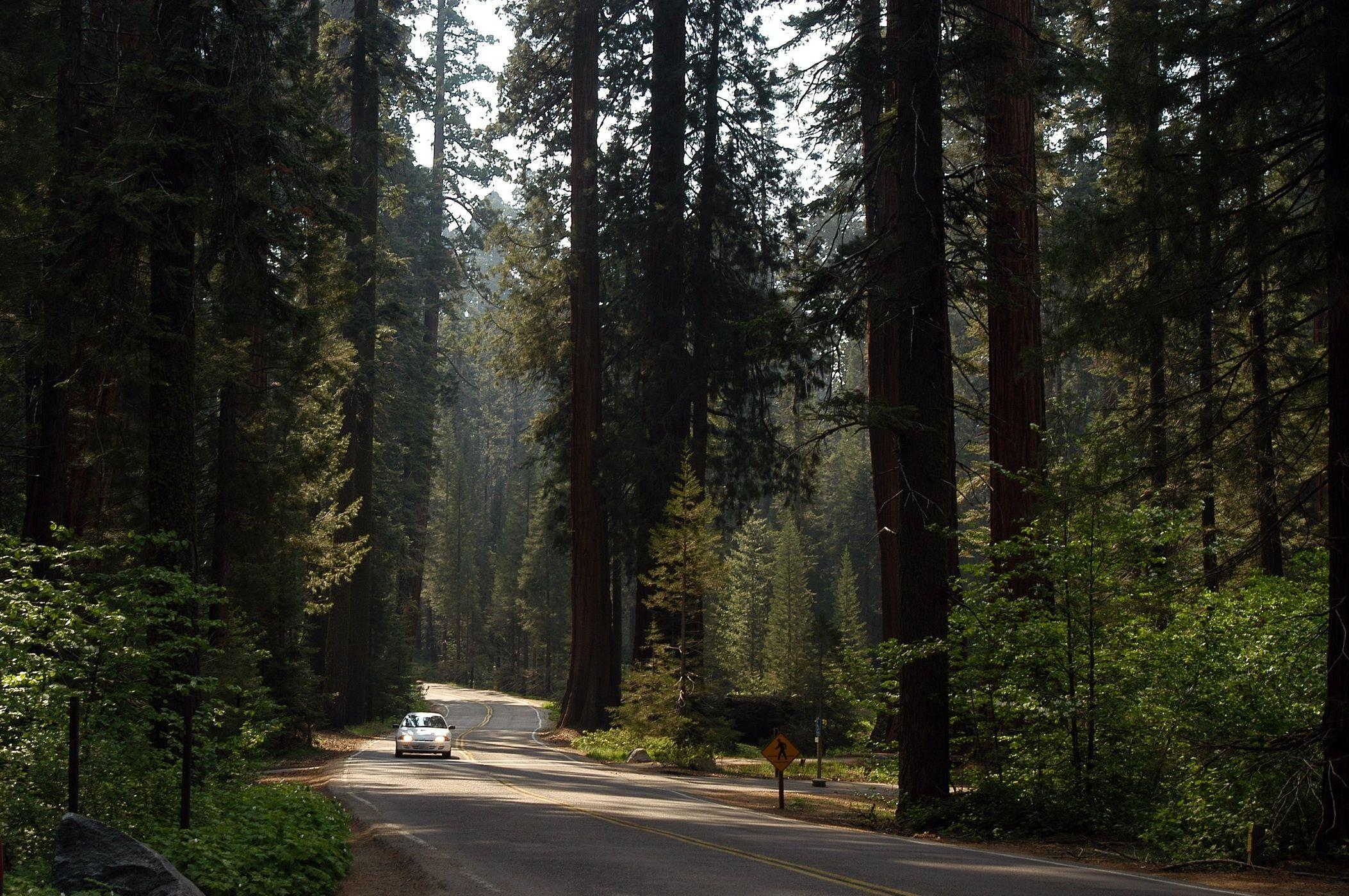 2110x1400 Sequoia National Park Wallpaper, Top Ranked Sequoia National, Desktop