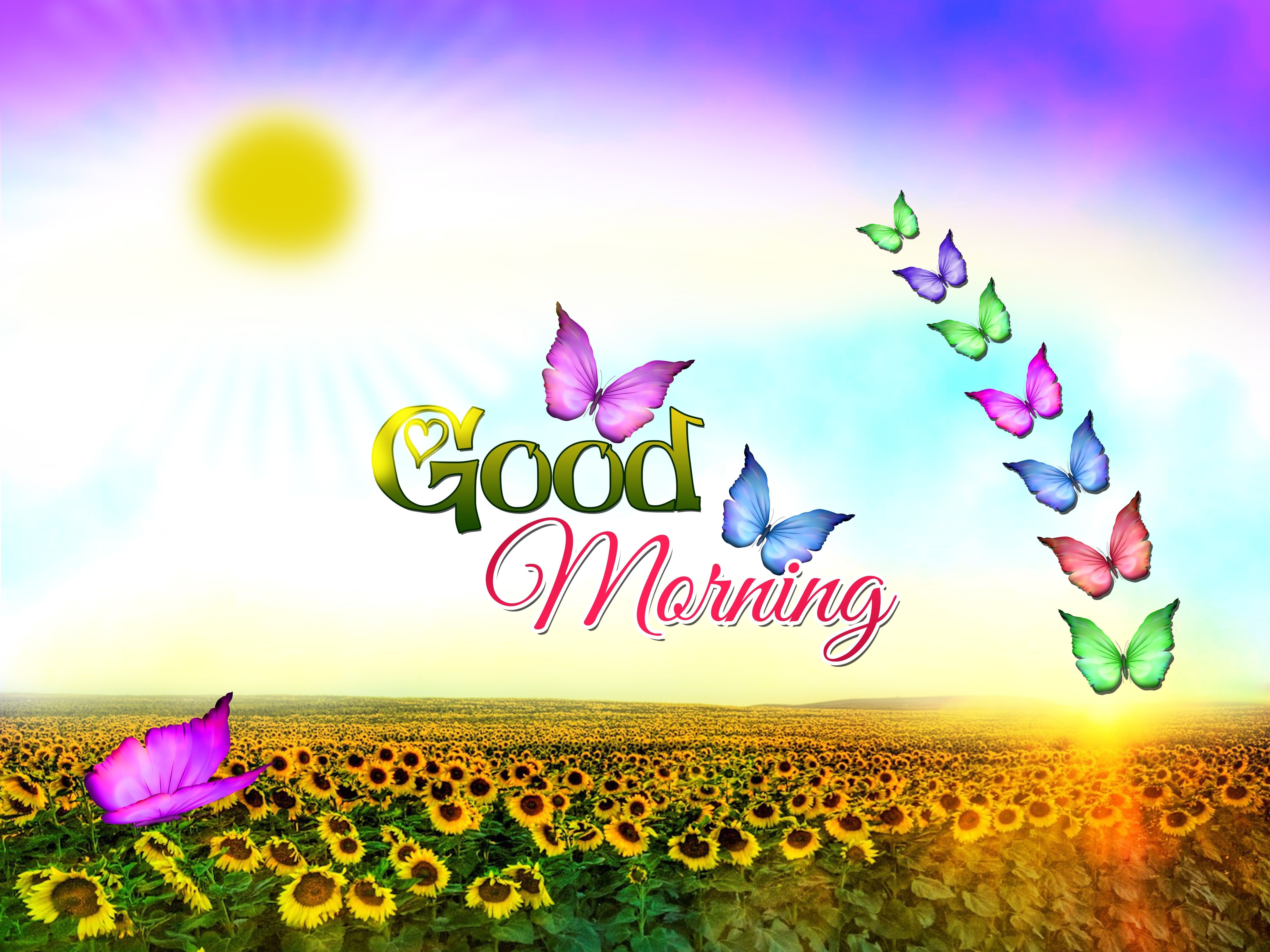 6000x4500 Good Morning Wallpaper Free Good Morning Background, Desktop