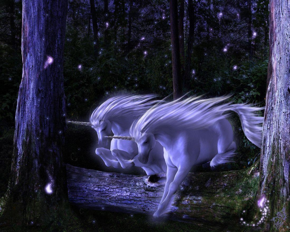 1100x880 Unicorn Wallpaper, Desktop