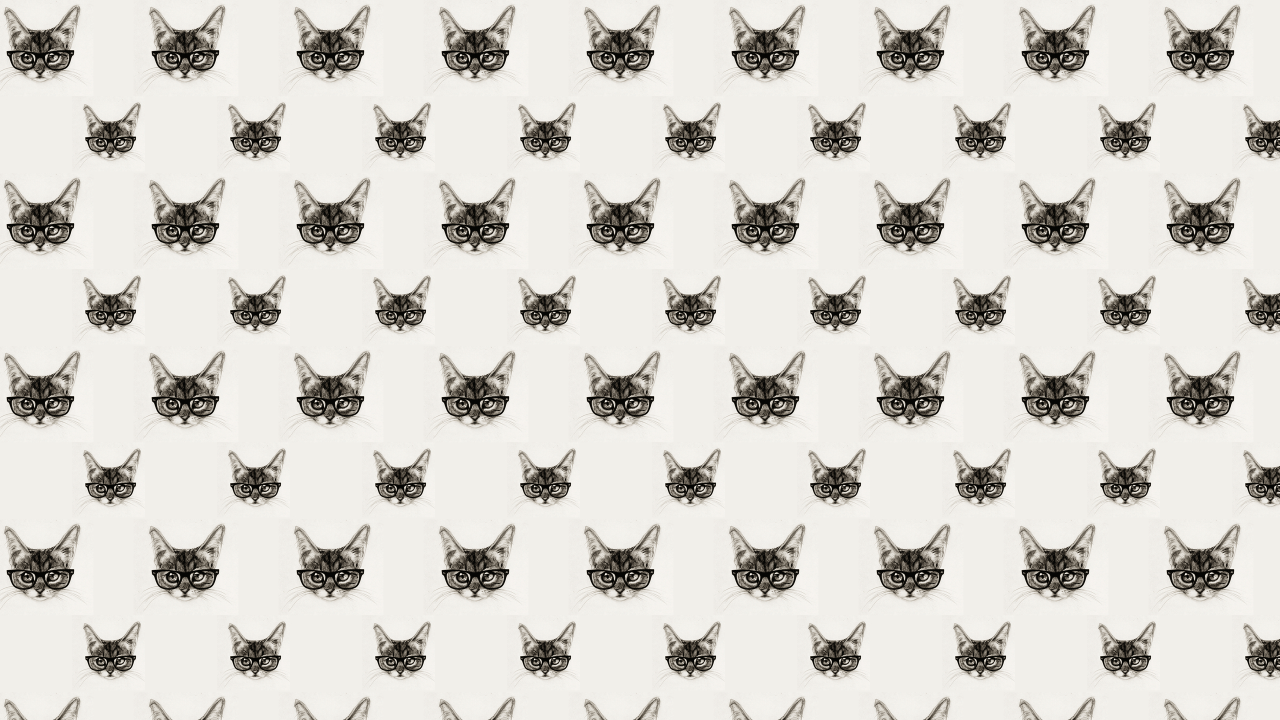 2560x1440 Tumblr Cat Background Patterns, PC Tumblr Cat Background Patterns, Desktop