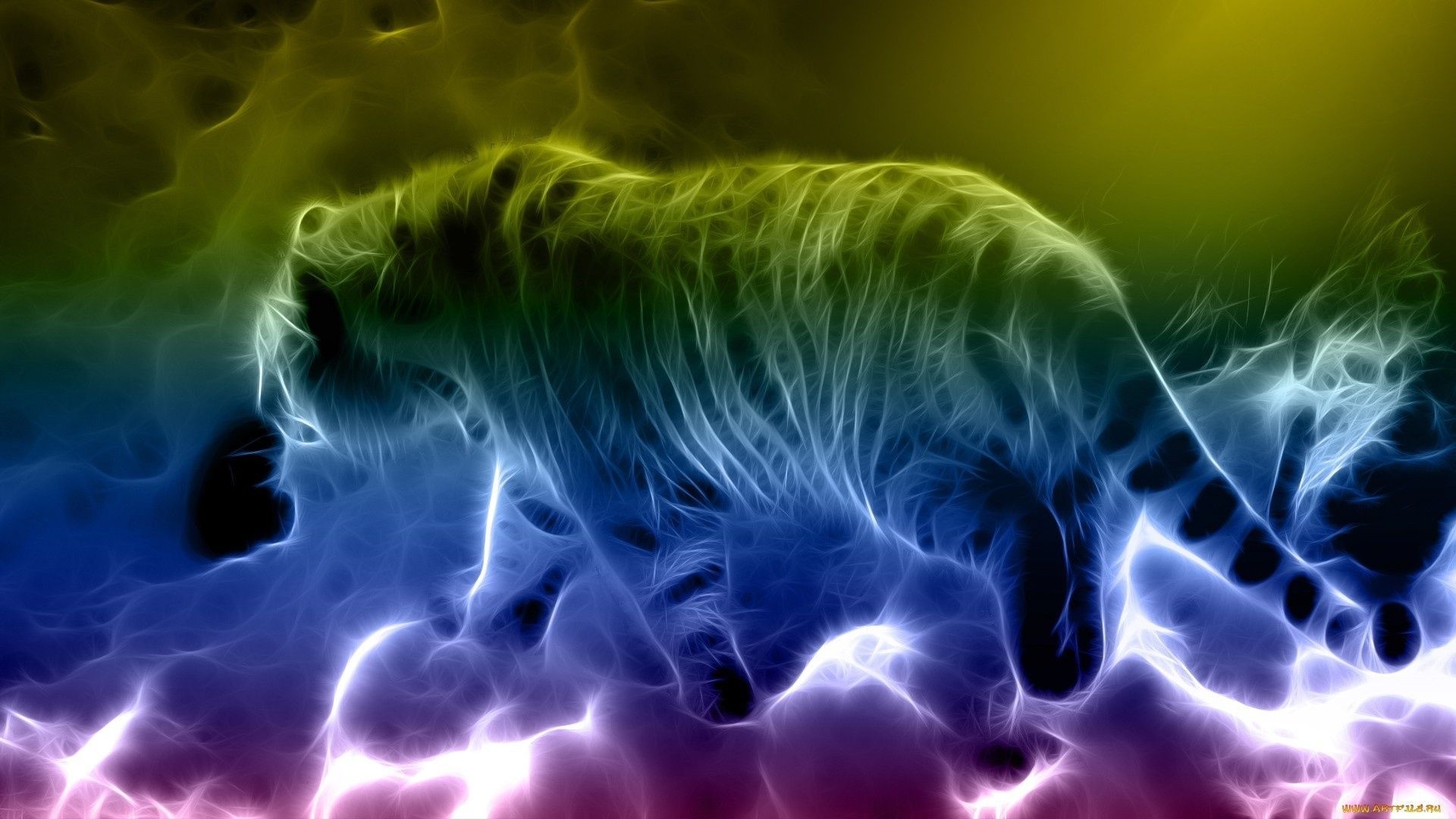 1920x1080 Download Download Pretty Fantasy Rainbow Tiger Wallpaper. Full HD, Desktop