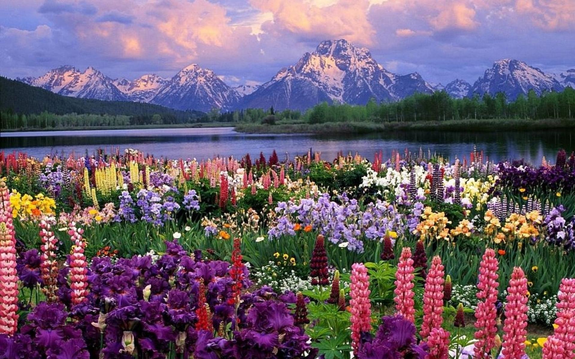 1920x1200 Spring Wallpaper For Desktop, Desktop