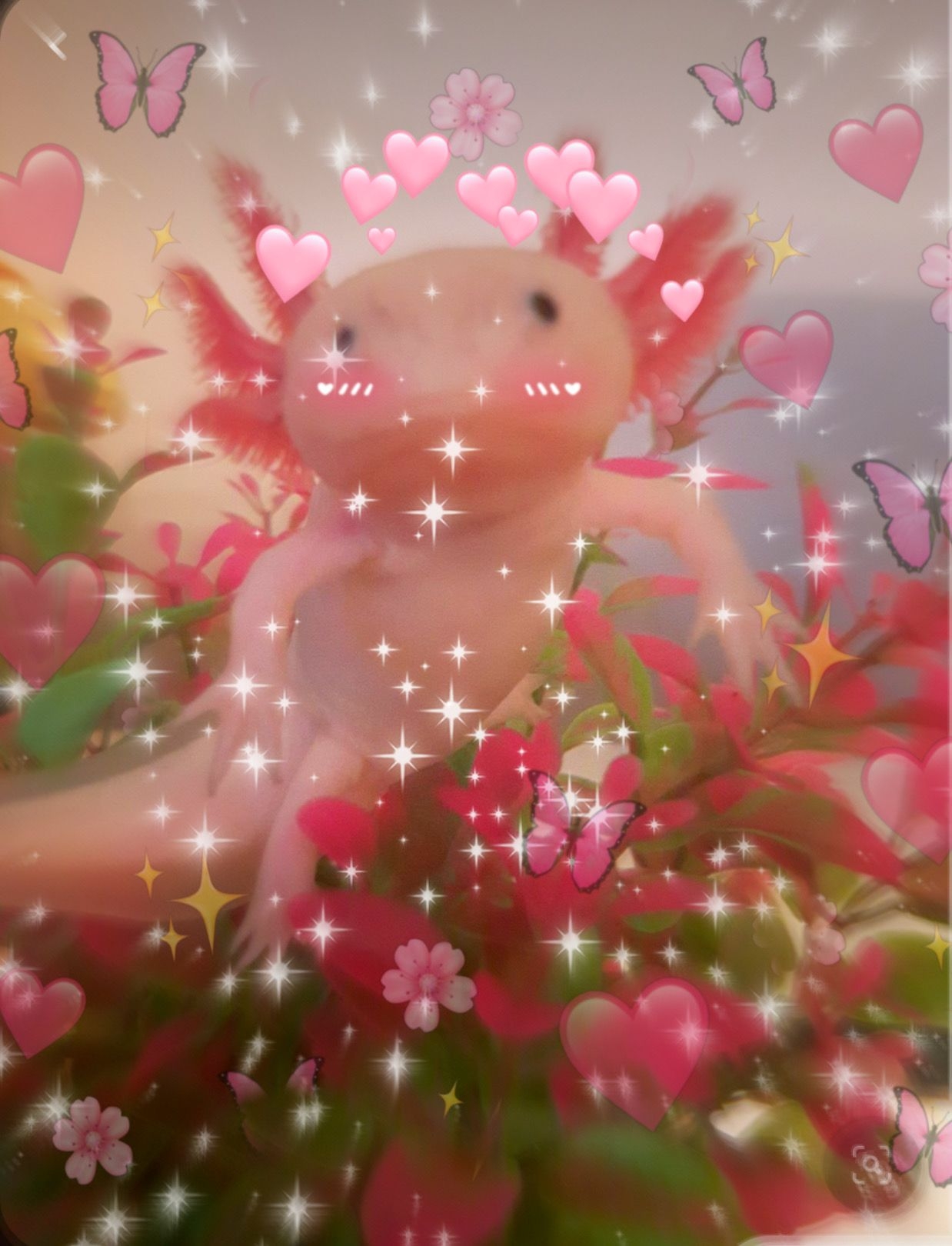 1240x1620 axolotl #wallpaper #cuteness #freetoedit. Hello kitty iphone wallpaper, Axolotl cute, Cute animal drawings kawaii, Phone