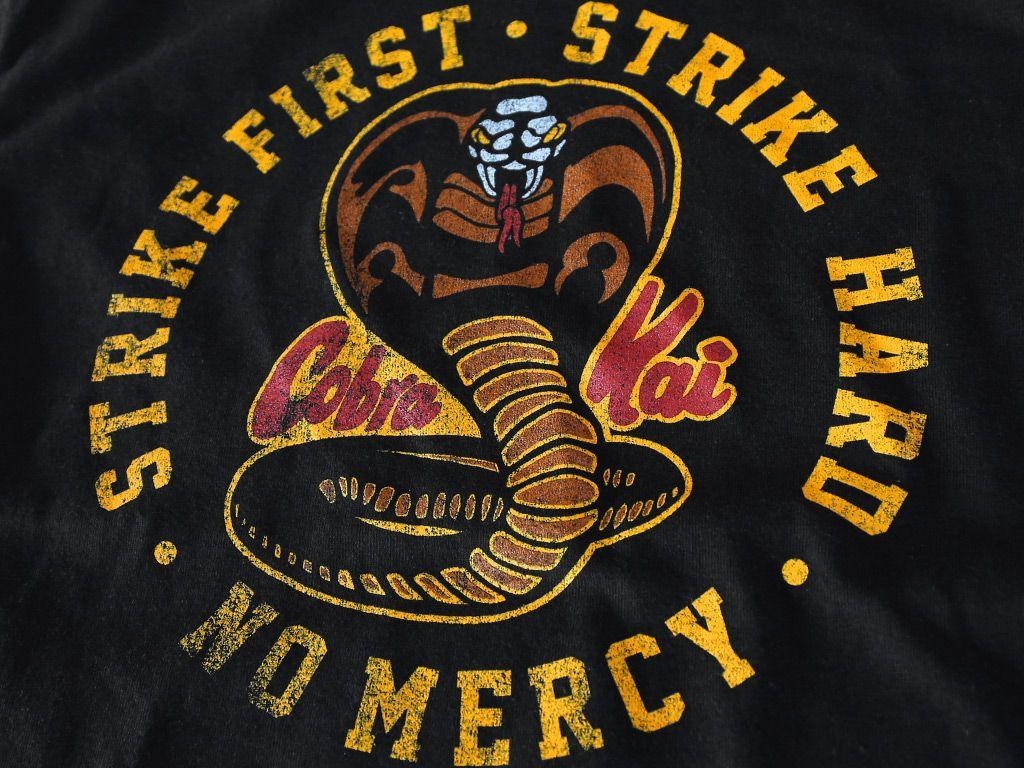 1030x770 Cobra Kai' wallpaper to reminisce the show's third season; check out, Desktop