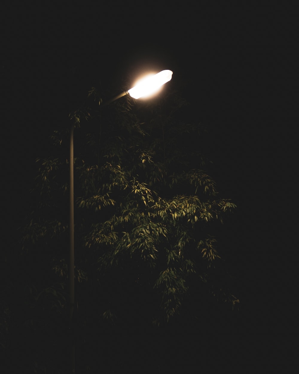 1000x1250 Streetlight Picture. Download Free Image, Phone