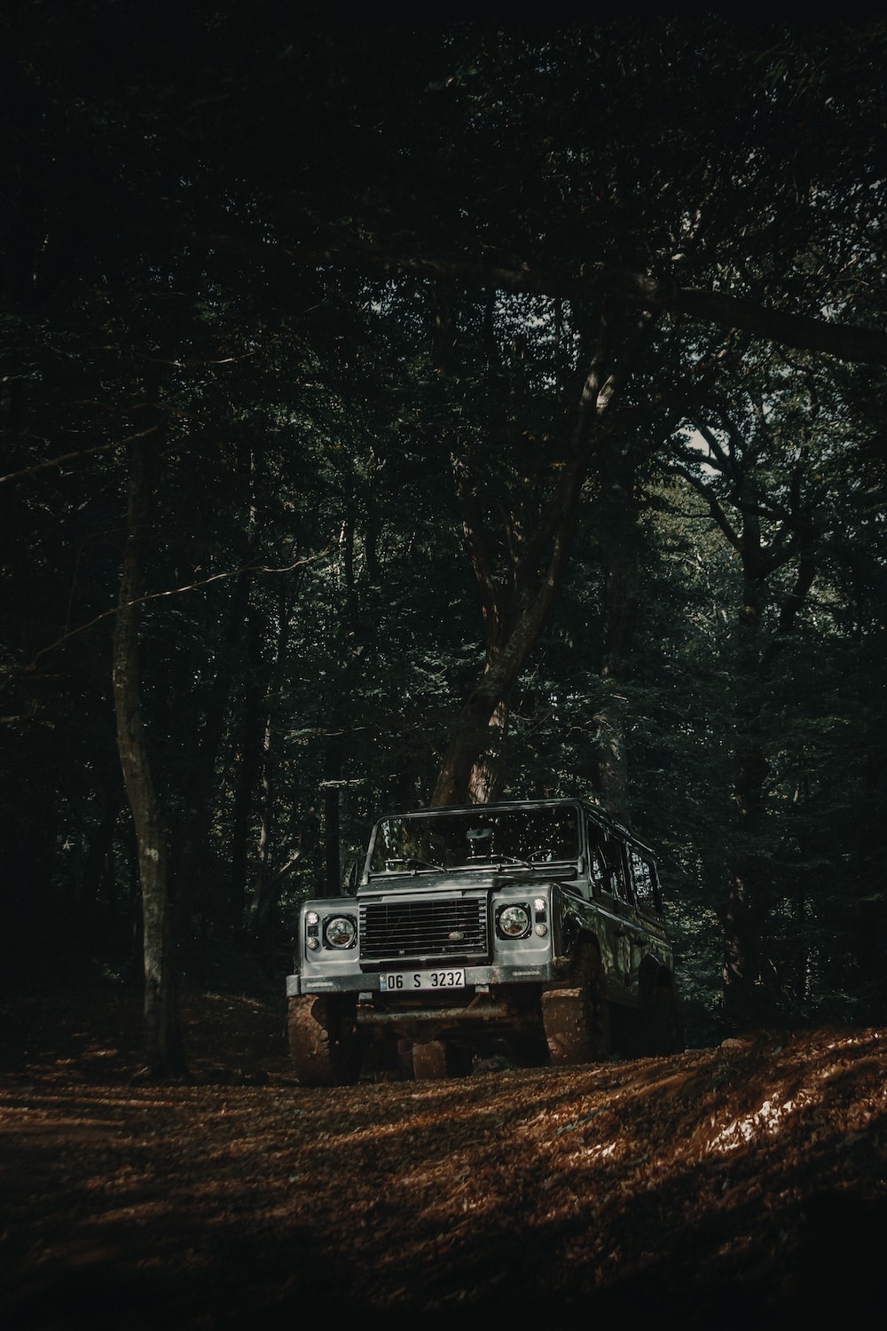 1000x1500 Defender Picture. Download Free Image, Phone