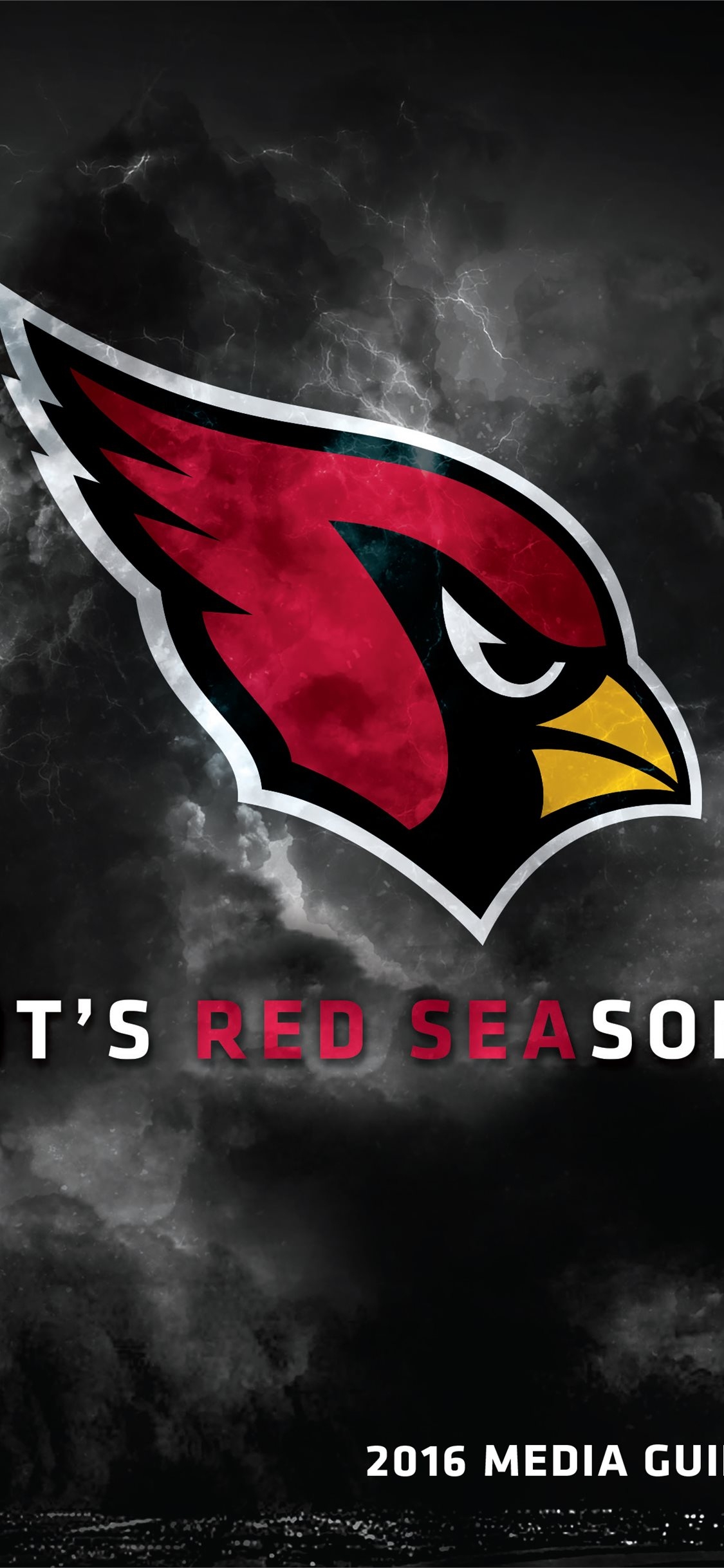 1130x2440 Arizona Cardinals iPhone Wallpaper Free Arizona Cardinals iPhone Background, Phone