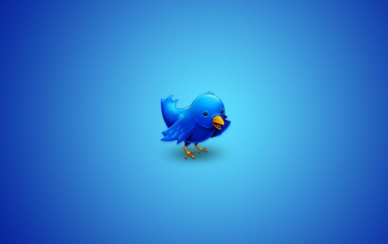 1280x810 Twitter bird wallpaper. Twitter bird, Desktop